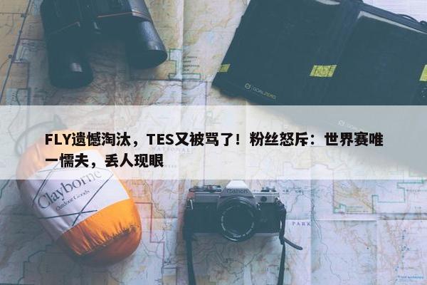 FLY遗憾淘汰，TES又被骂了！粉丝怒斥：世界赛唯一懦夫，丢人现眼