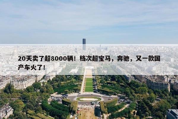 20天卖了超8000辆！档次超宝马，奔驰，又一款国产车火了！