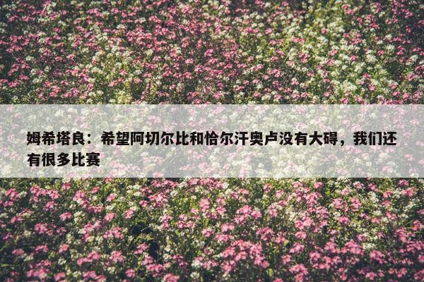 姆希塔良：希望阿切尔比和恰尔汗奥卢没有大碍，我们还有很多比赛