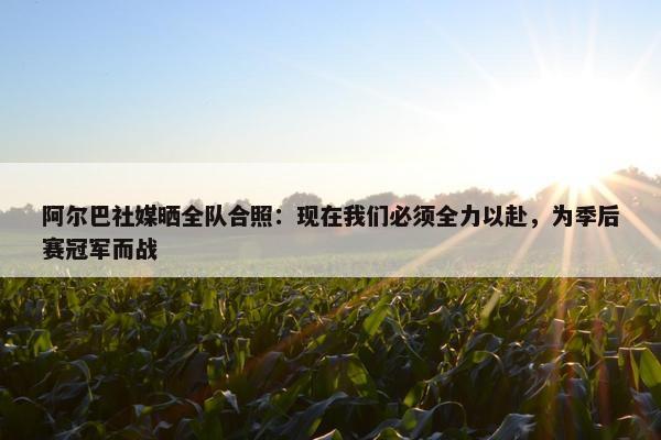 阿尔巴社媒晒全队合照：现在我们必须全力以赴，为季后赛冠军而战