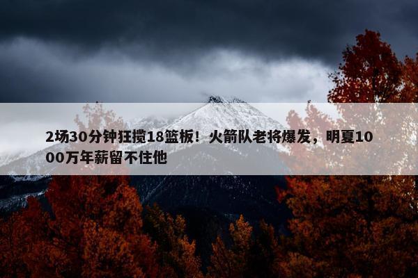 2场30分钟狂揽18篮板！火箭队老将爆发，明夏1000万年薪留不住他