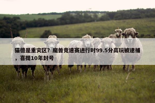 猫德是重灾区？魔兽竞速赛进行时99.5分高玩被逮捕，喜提10年封号