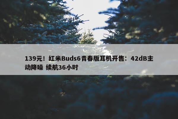 139元！红米Buds6青春版耳机开售：42dB主动降噪 续航36小时