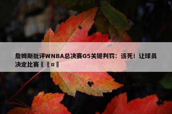 詹姆斯批评WNBA总决赛G5关键判罚：该死！让球员决定比赛🤬