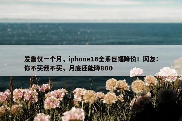 发售仅一个月，iphone16全系巨幅降价！网友：你不买我不买，月底还能降800