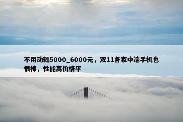 不用动辄5000_6000元，双11各家中端手机也很棒，性能高价格平