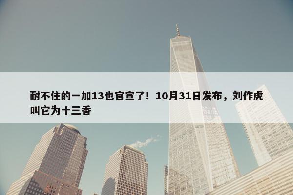 耐不住的一加13也官宣了！10月31日发布，刘作虎叫它为十三香