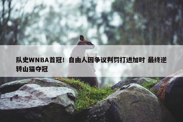 队史WNBA首冠！自由人因争议判罚打进加时 最终逆转山猫夺冠