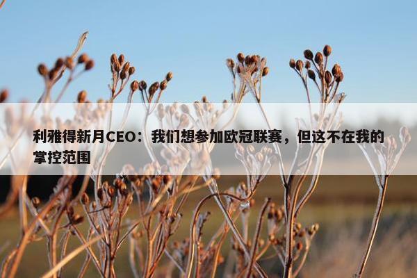 利雅得新月CEO：我们想参加欧冠联赛，但这不在我的掌控范围