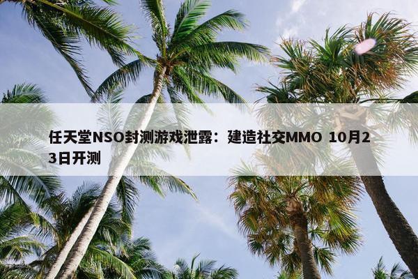 任天堂NSO封测游戏泄露：建造社交MMO 10月23日开测