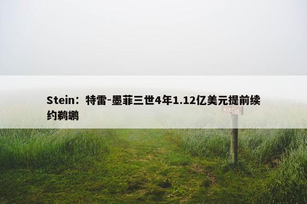 Stein：特雷-墨菲三世4年1.12亿美元提前续约鹈鹕