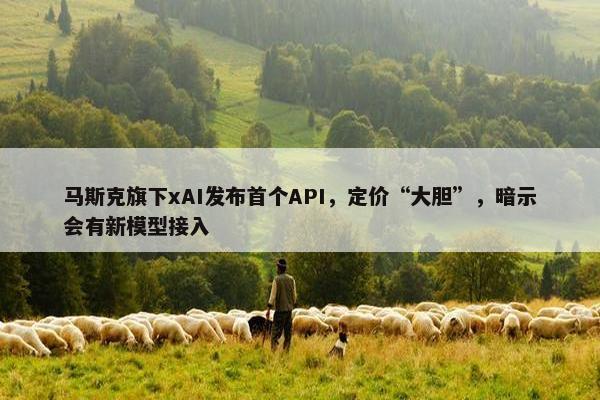 马斯克旗下xAI发布首个API，定价“大胆”，暗示会有新模型接入