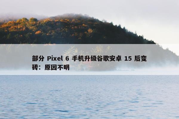 部分 Pixel 6 手机升级谷歌安卓 15 后变砖：原因不明