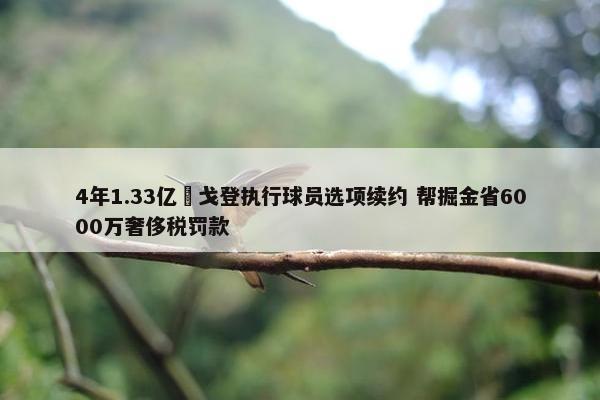 4年1.33亿️戈登执行球员选项续约 帮掘金省6000万奢侈税罚款