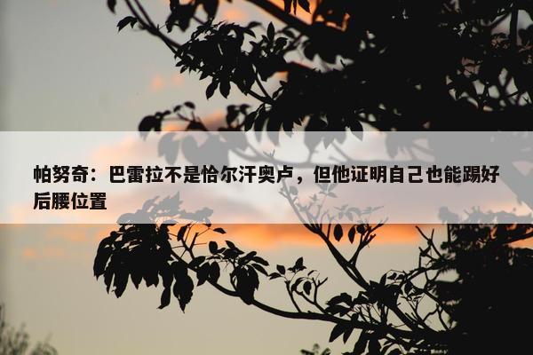 帕努奇：巴雷拉不是恰尔汗奥卢，但他证明自己也能踢好后腰位置