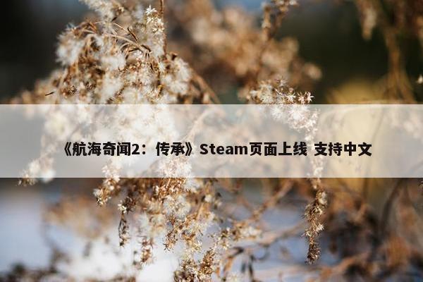 《航海奇闻2：传承》Steam页面上线 支持中文