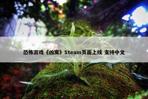 恐怖游戏《凶寓》Steam页面上线 支持中文