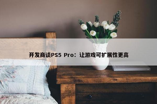 开发商谈PS5 Pro：让游戏可扩展性更高