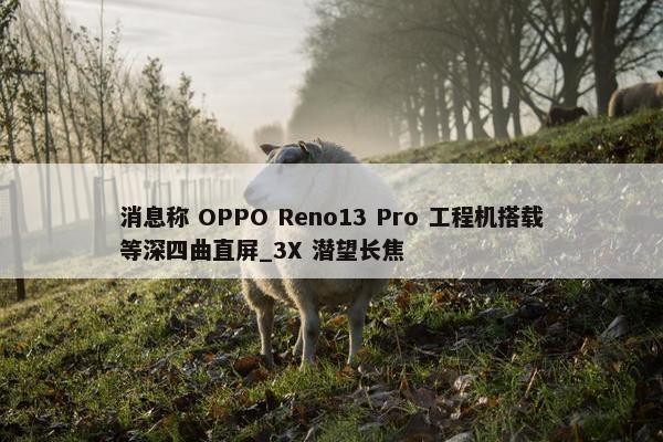 消息称 OPPO Reno13 Pro 工程机搭载等深四曲直屏_3X 潜望长焦