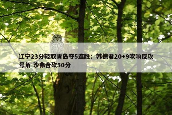 辽宁23分轻取青岛夺5连胜：韩德君20+9吹响反攻号角 沙弗合砍50分