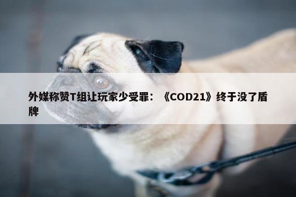 外媒称赞T组让玩家少受罪：《COD21》终于没了盾牌