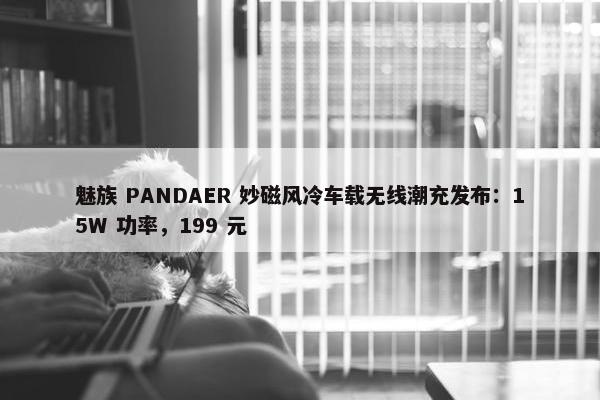 魅族 PANDAER 妙磁风冷车载无线潮充发布：15W 功率，199 元