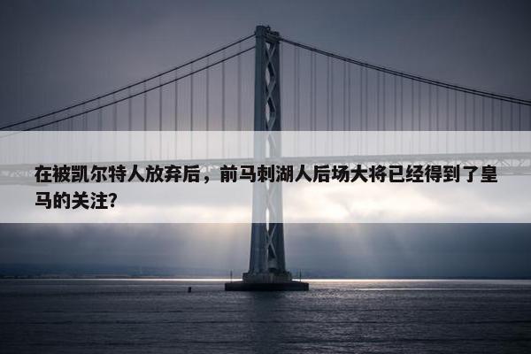 在被凯尔特人放弃后，前马刺湖人后场大将已经得到了皇马的关注？