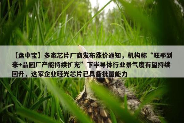 【盘中宝】多家芯片厂商发布涨价通知，机构称“旺季到来+晶圆厂产能持续扩充”下半导体行业景气度有望持续回升，这家企业硅光芯片已具备批量能力