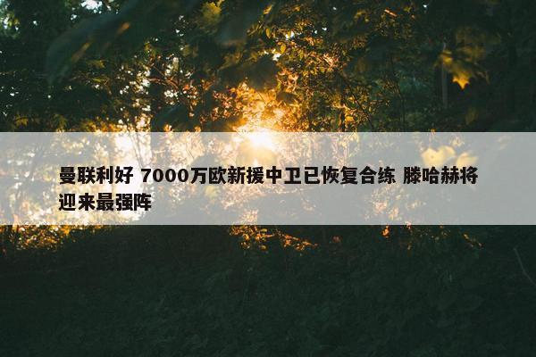 曼联利好 7000万欧新援中卫已恢复合练 滕哈赫将迎来最强阵