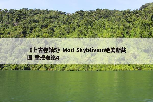 《上古卷轴5》Mod Skyblivion绝美新截图 重现老滚4