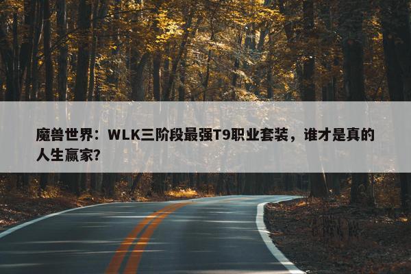 魔兽世界：WLK三阶段最强T9职业套装，谁才是真的人生赢家？