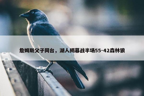 詹姆斯父子同台，湖人揭幕战半场55-42森林狼