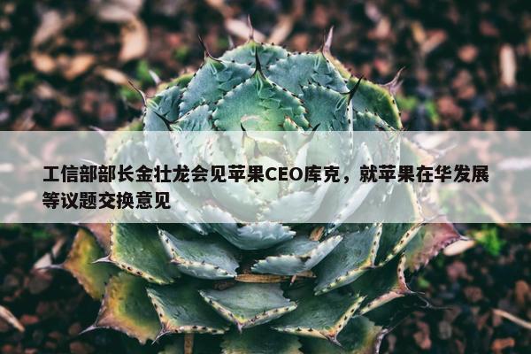 工信部部长金壮龙会见苹果CEO库克，就苹果在华发展等议题交换意见