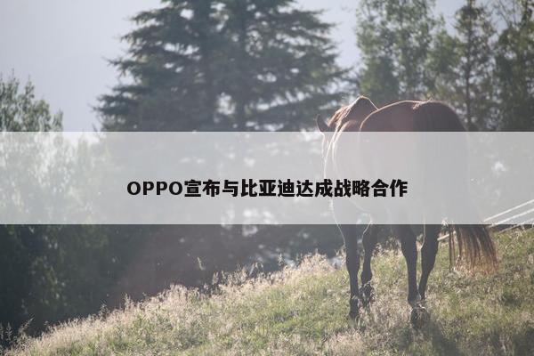 OPPO宣布与比亚迪达成战略合作