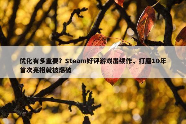 优化有多重要？Steam好评游戏出续作，打磨10年首次亮相就被爆破