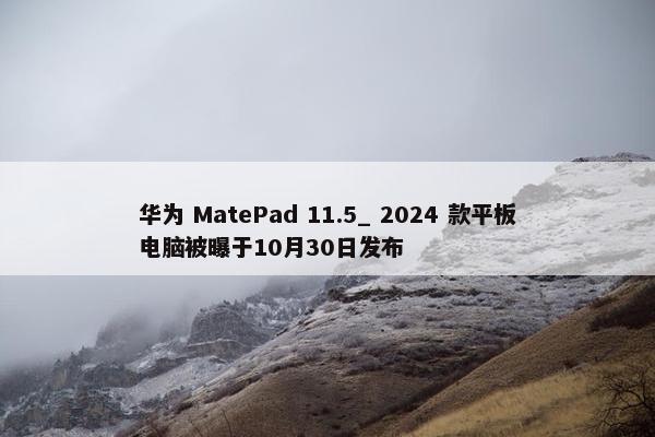 华为 MatePad 11.5_ 2024 款平板电脑被曝于10月30日发布