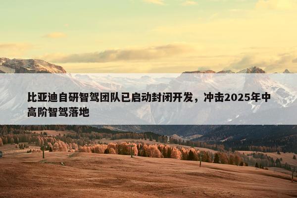 比亚迪自研智驾团队已启动封闭开发，冲击2025年中高阶智驾落地