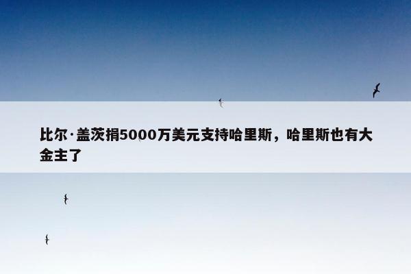 比尔·盖茨捐5000万美元支持哈里斯，哈里斯也有大金主了