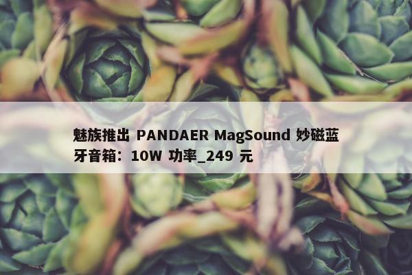 魅族推出 PANDAER MagSound 妙磁蓝牙音箱：10W 功率_249 元