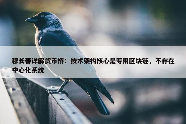 穆长春详解货币桥：技术架构核心是专用区块链，不存在中心化系统