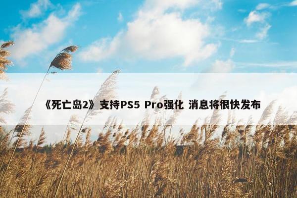 《死亡岛2》支持PS5 Pro强化 消息将很快发布