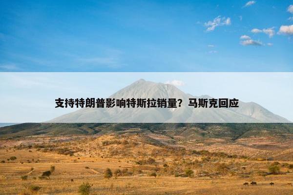 支持特朗普影响特斯拉销量？马斯克回应