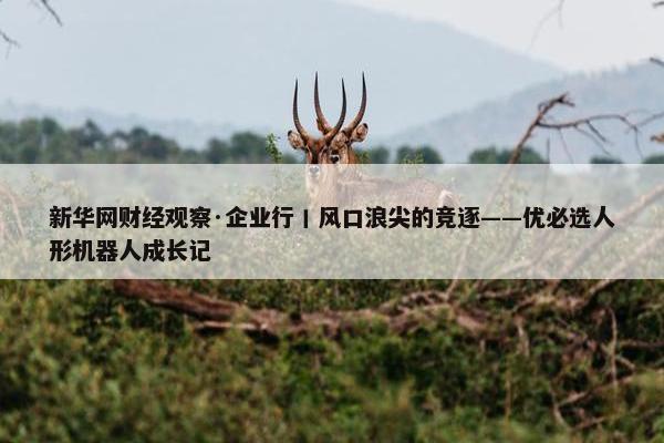 新华网财经观察·企业行丨风口浪尖的竞逐——优必选人形机器人成长记