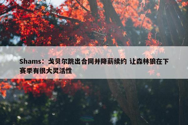 Shams：戈贝尔跳出合同并降薪续约 让森林狼在下赛季有很大灵活性