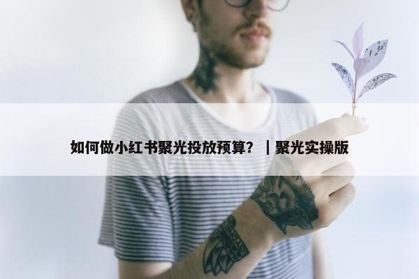 如何做小红书聚光投放预算？｜聚光实操版