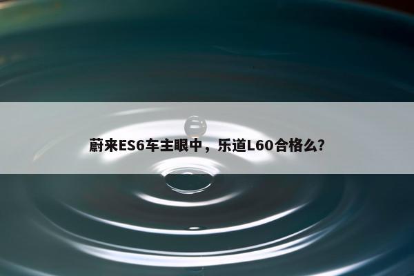 蔚来ES6车主眼中，乐道L60合格么？