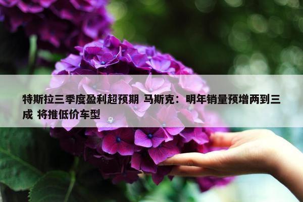 特斯拉三季度盈利超预期 马斯克：明年销量预增两到三成 将推低价车型