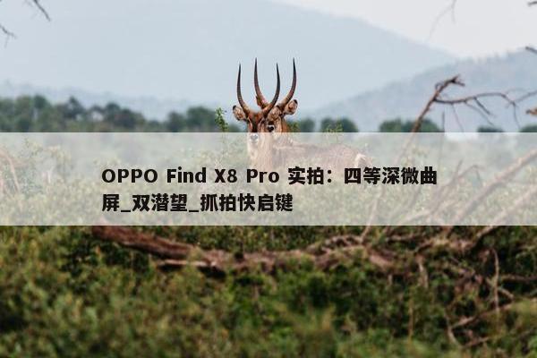 OPPO Find X8 Pro 实拍：四等深微曲屏_双潜望_抓拍快启键