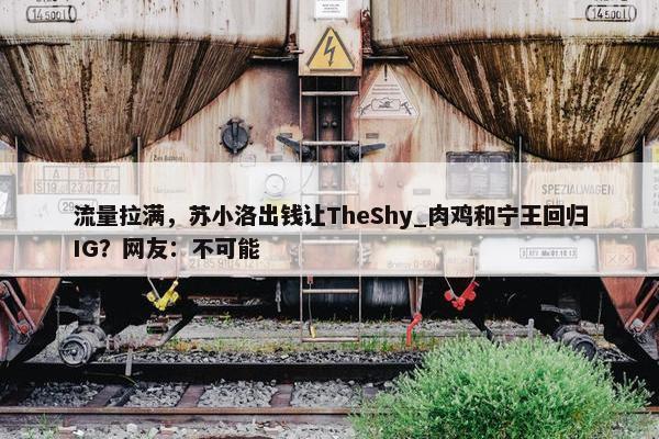 流量拉满，苏小洛出钱让TheShy_肉鸡和宁王回归IG？网友：不可能