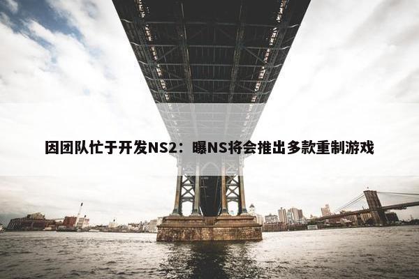 因团队忙于开发NS2：曝NS将会推出多款重制游戏